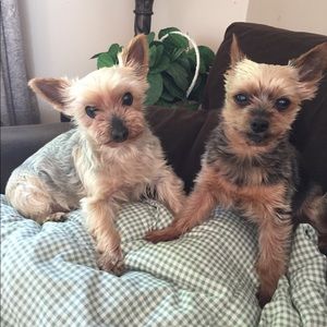 Meet your Posh Ambassador, Christina!